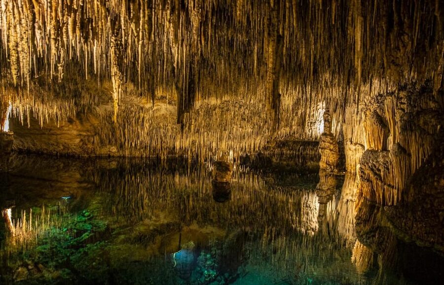 Palma: Caves of Drach Entrance, Music Concert, and Boat Trip - Timing, group flow, and the guide’s role
