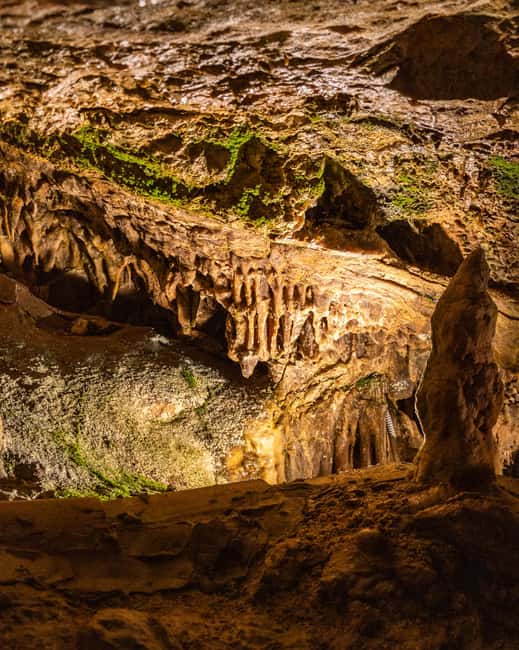 Palma: Caves of Genova Ticket & Digital Informational Video - Descending 36 Meters Into the Limestone
