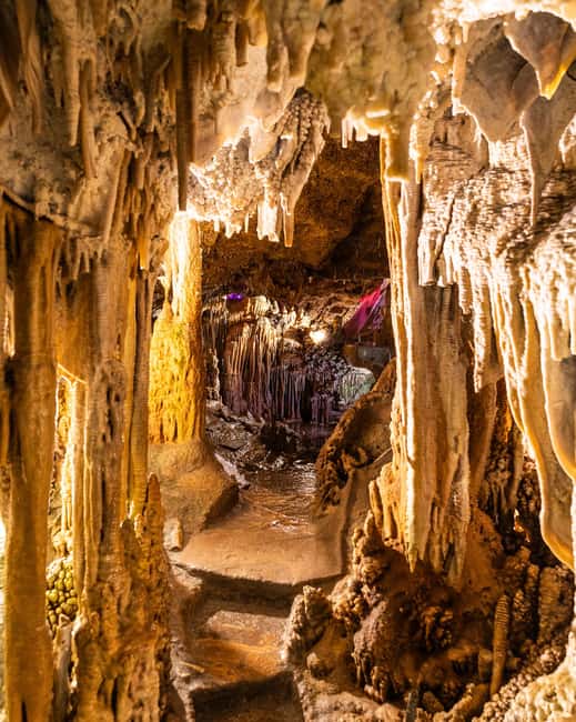 Palma: Caves of Genova Ticket & Digital Informational Video - What You Actually See in 15 to 25 Minutes