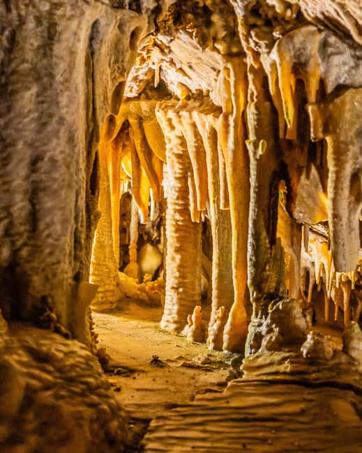Palma: Caves of Genova Ticket & Digital Informational Video - Booking, Cancellation, and Practical Value