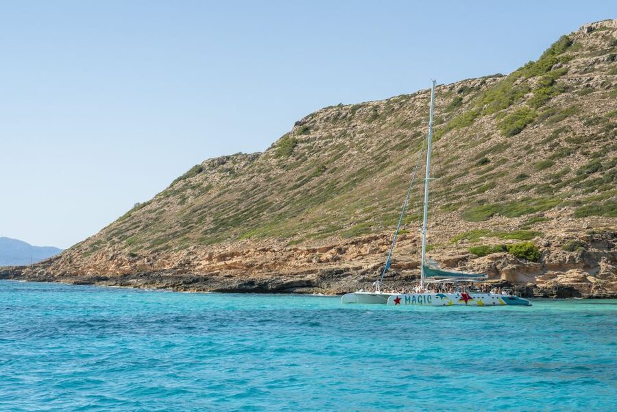 Palma de Mallorca: 5-Hour Catamaran Cruise with Lunch & Swim - Morning or afternoon: choosing the right departure