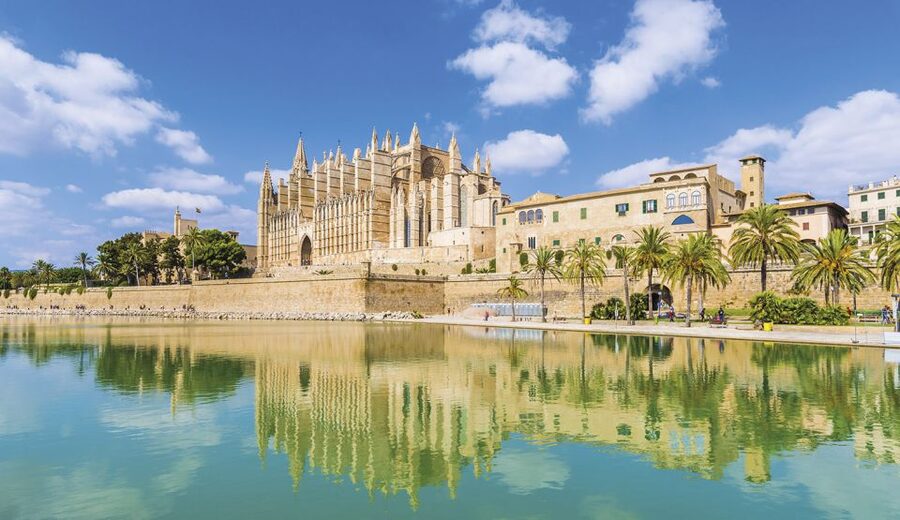 Palma de Mallorca: City Walking Tour with The Cathedral - Narrow streets, the Parliament, and Plaza de Cort