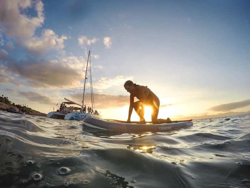 Palma de Mallorca: Deluxe Catamaran Sailing Tour with Meal - Who should book this catamaran trip?