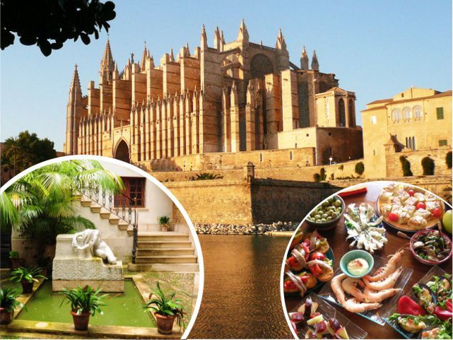 Palma de Mallorca: Guided Tour of the Old Town - Key details to know before you book
