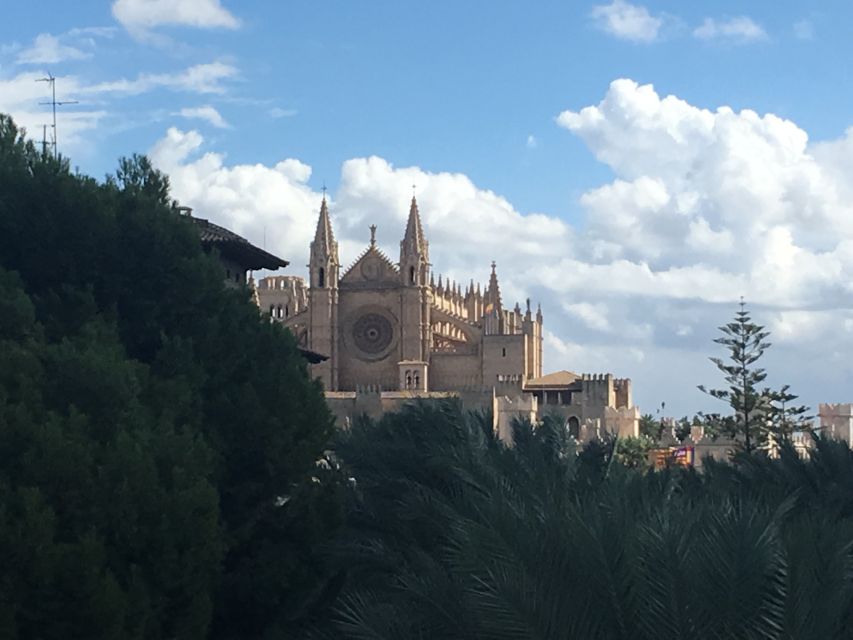 Palma de Mallorca: Guided Tour of the Old Town - Starting near Av. d’Antoni Maura