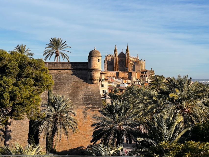 Palma de Mallorca: Old Town Atmospheric Evening Tour - Palma Cathedral and the waterfront opening