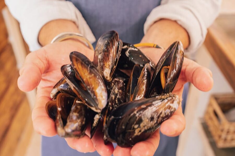 Palma de Mallorca: Spanish Cooking Experience - Booking flexibility and timing