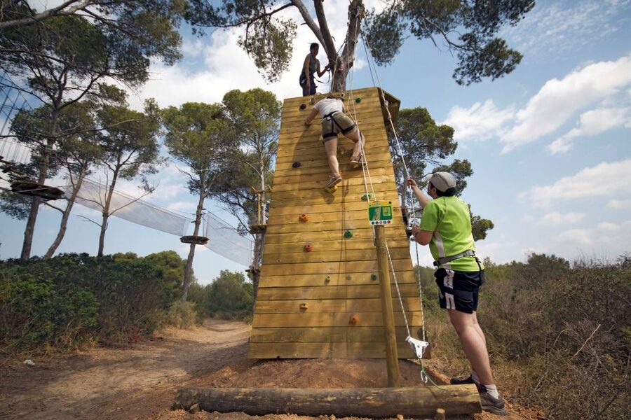 Palma: Family or Sports Course Adventure at Forestal Park - Key points at a glance