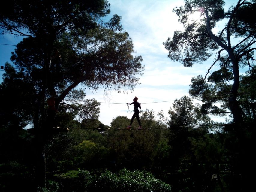Palma: Family or Sports Course Adventure at Forestal Park - What Forestal Park Mallorca is really like