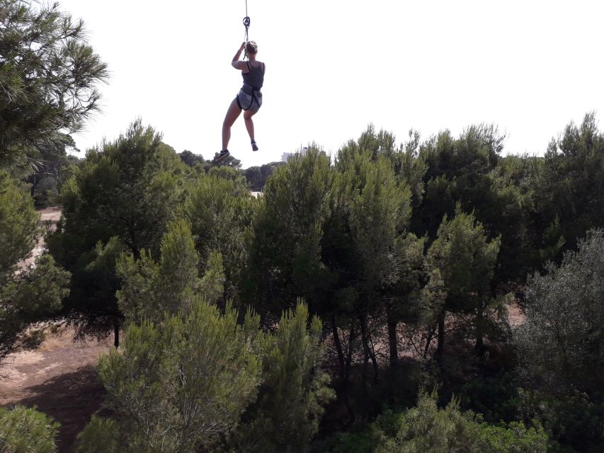 Palma: Family or Sports Course Adventure at Forestal Park - The long zip line is the payoff