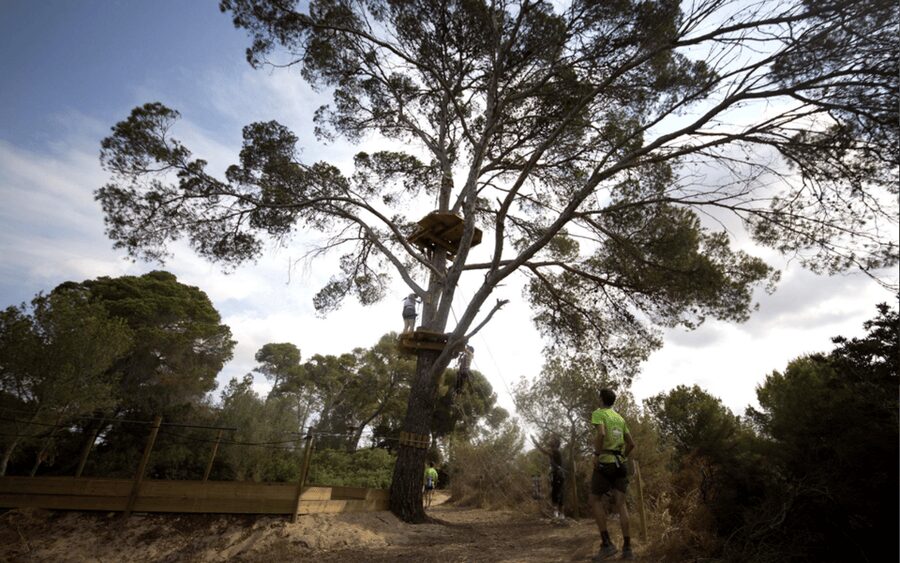 Palma: Family or Sports Course Adventure at Forestal Park - Timing, crowds, and the pace of the visit