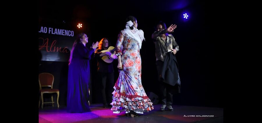 Palma: Flamenco Show at Tablao Flamenco Alma with Drink - Why the guitarist, singer, and dancers matter