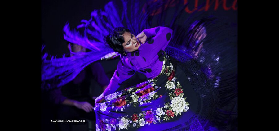 Palma: Flamenco Show at Tablao Flamenco Alma with Drink - Choosing between a drink and the tapas option