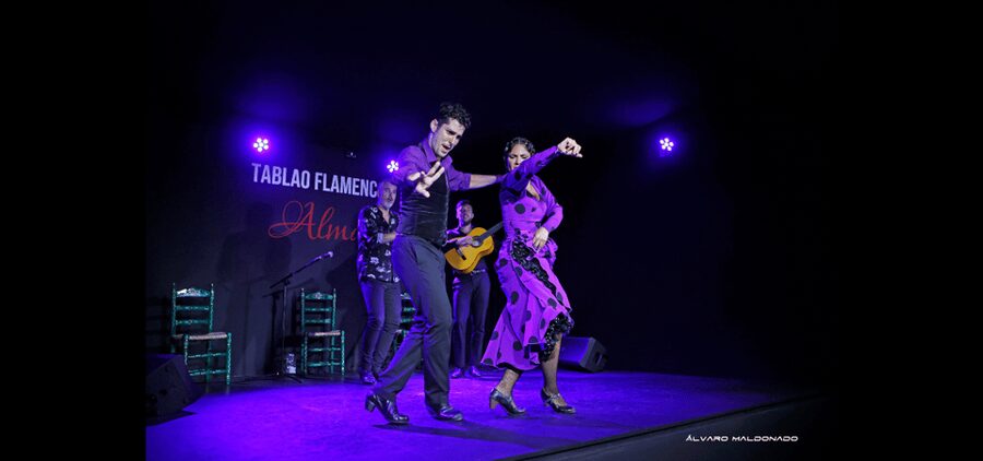 Palma: Flamenco Show at Tablao Flamenco Alma with Drink - What the performance feels like from your seat