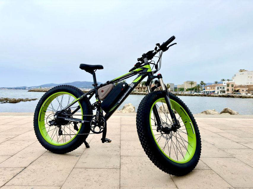 Palma: Guided City Tour with a Fat Tire E-Bike - Starting beside Palma Cathedral