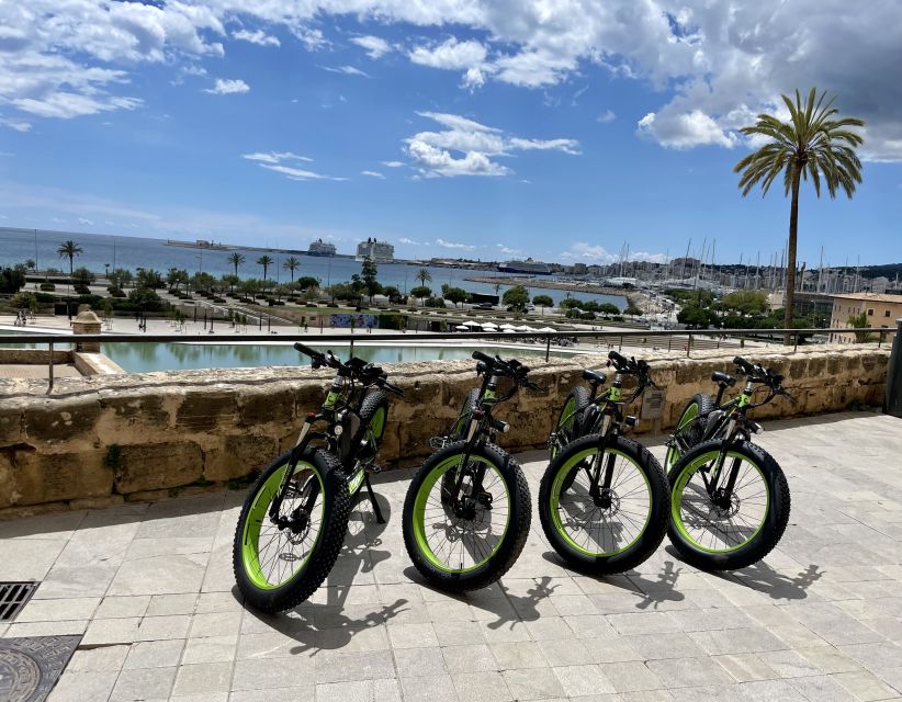 Palma: Guided City Tour with a Fat Tire E-Bike - Is $41 good value?