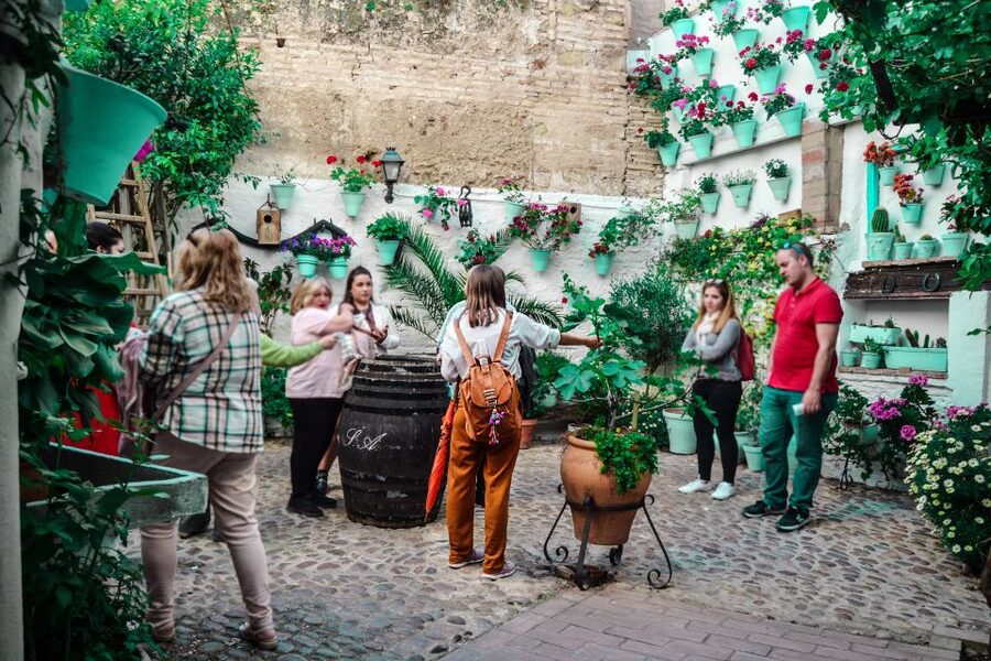 Patios of Cordoba Walking Tour - Why Cordoba’s patios matter