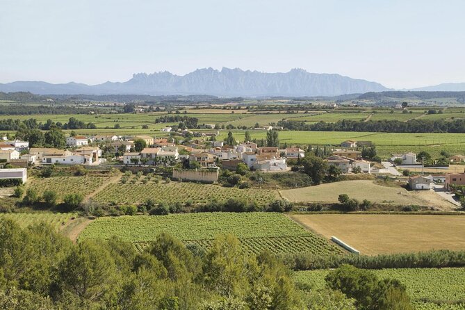 Penedes Wine & Cava Tasting & 4WD Vineyards Tour from Barcelona - The best parts of the day at a glance
