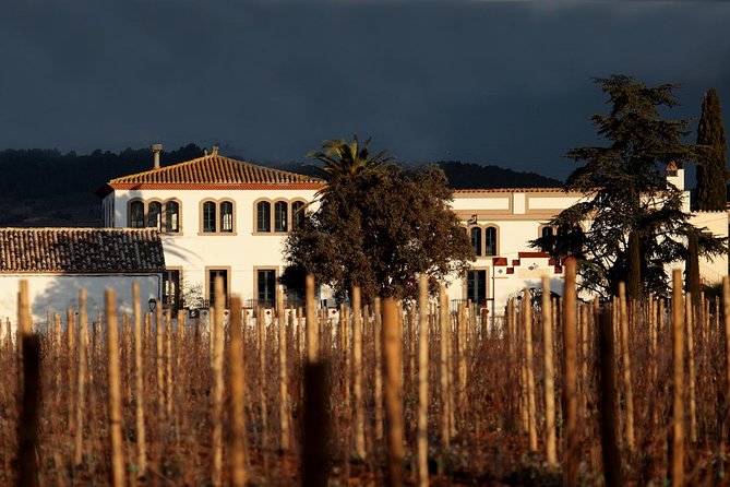Penedes Wine & Cava Tasting & 4WD Vineyards Tour from Barcelona - Timing, comfort, and what to bring