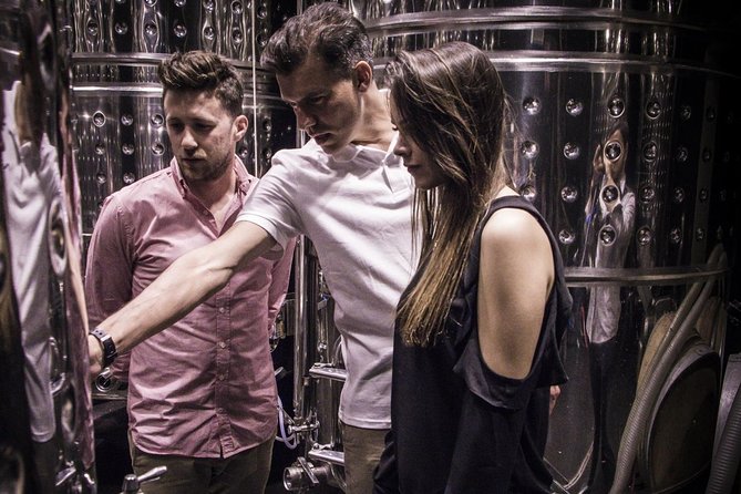 Penedes Wine & Cava Tasting & 4WD Vineyards Tour from Barcelona - Who should book this Penedes tour?