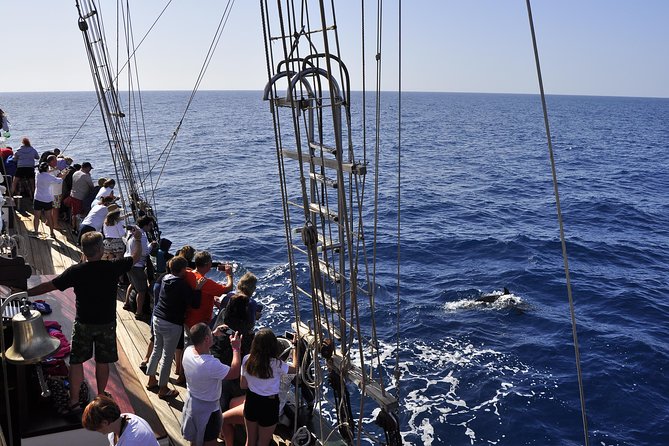 Pirate Adventure Boat Tour with Lunch in Fuerteventura - Practical preparation for your four hours at sea