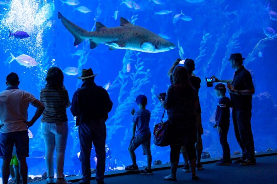 Poema del Mar Skip-the-Line Ticket - Is it good for families and adults?
