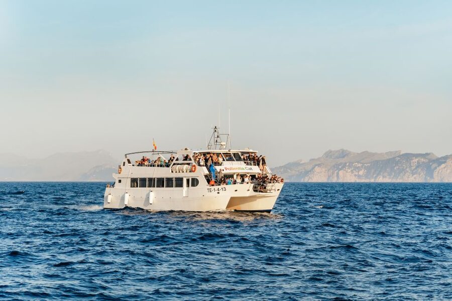 Port d'Alcudia: Sunrise at Sea & Dolphin Watching Boat Tour - Key points at a glance
