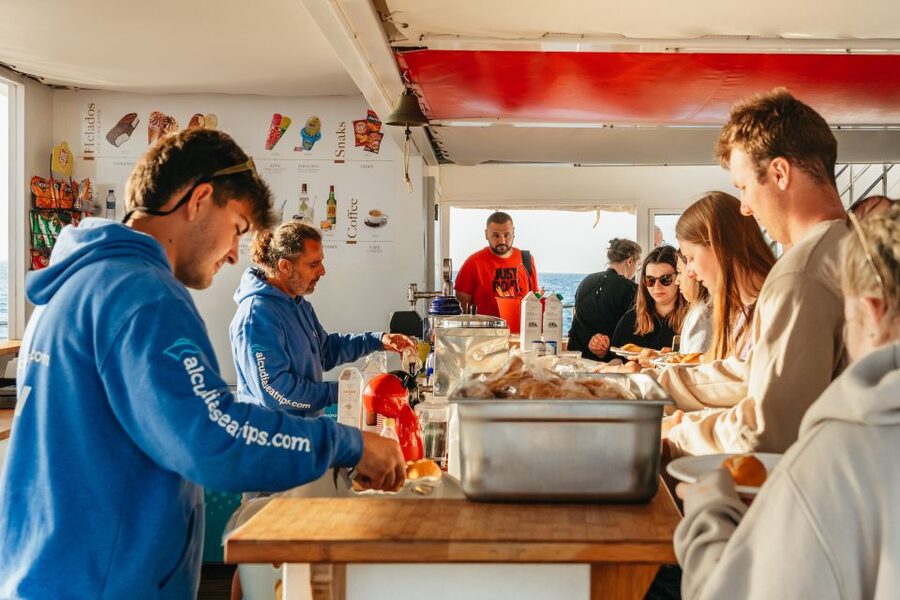 Port d'Alcudia: Sunrise at Sea & Dolphin Watching Boat Tour - Breakfast on the return ride