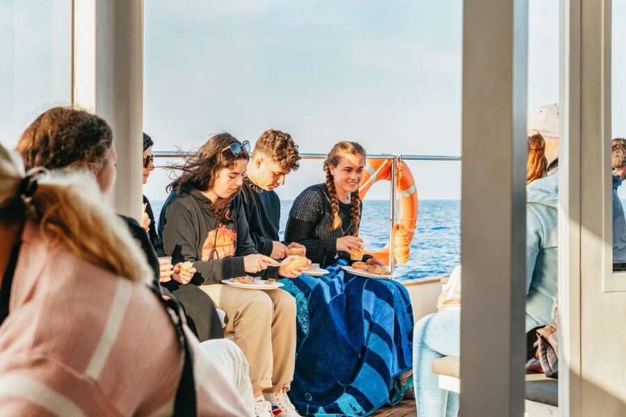 Port d'Alcudia: Sunrise at Sea & Dolphin Watching Boat Tour - Is $69 a fair price?