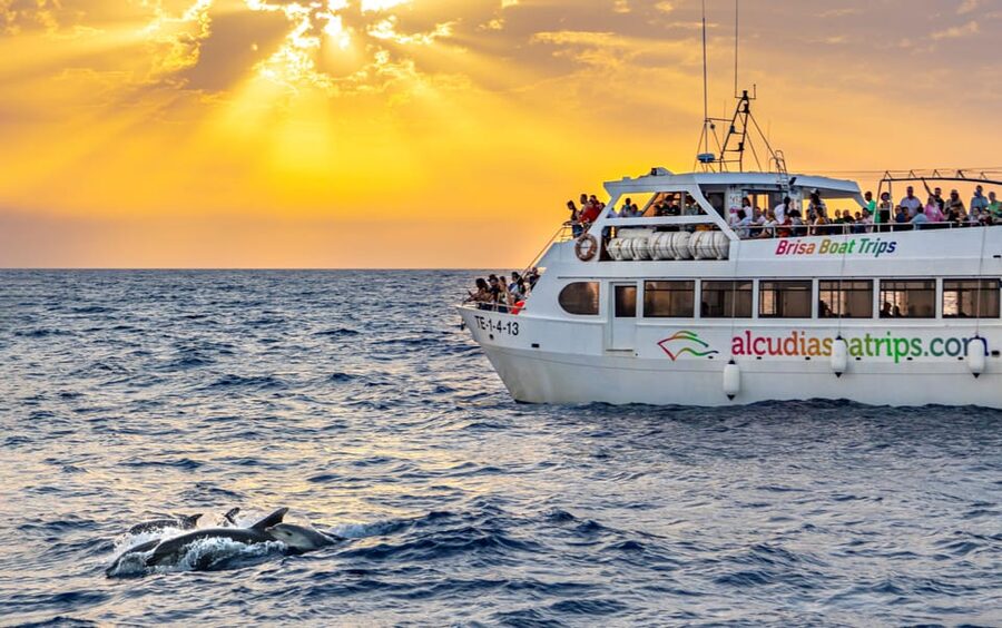 Port d'Alcudia: Sunrise at Sea & Dolphin Watching Boat Tour - Watching Mallorca wake up at sea