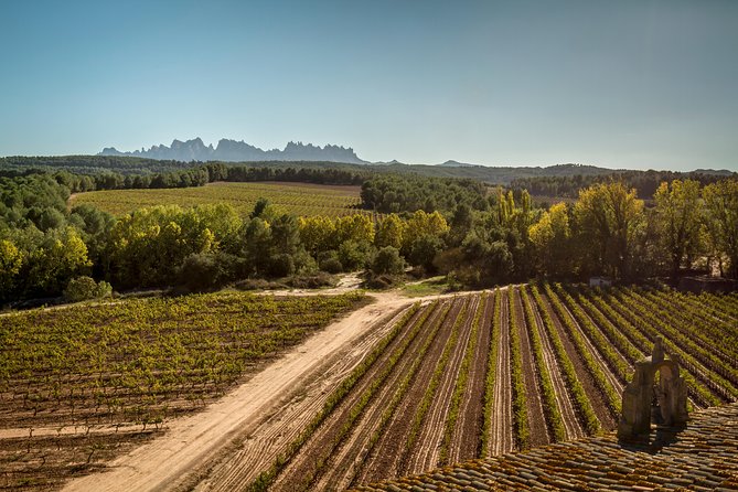 Premium Montserrat & Wine Full Day Tour from Barcelona - Oller del Mas and the Catalan lunch