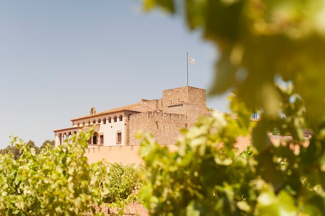 Premium Montserrat & Wine Full Day Tour from Barcelona - Starting at Barcelona North Station