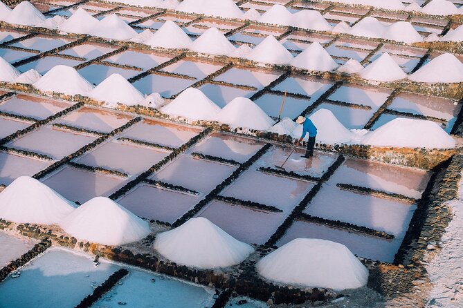 Private and Guided Tour to the Salinas de Janubio with Tasting - Why Salinas de Janubio is worth your time