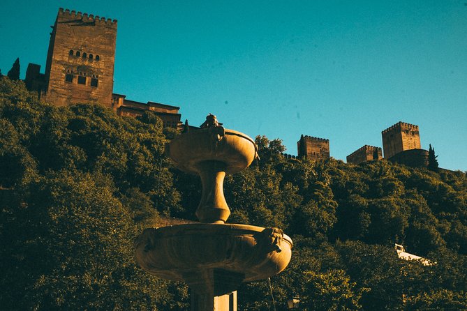 Private Tour to The Alhambra with Nasrid Palaces in Granada - Generalife gardens and the quieter side of the visit