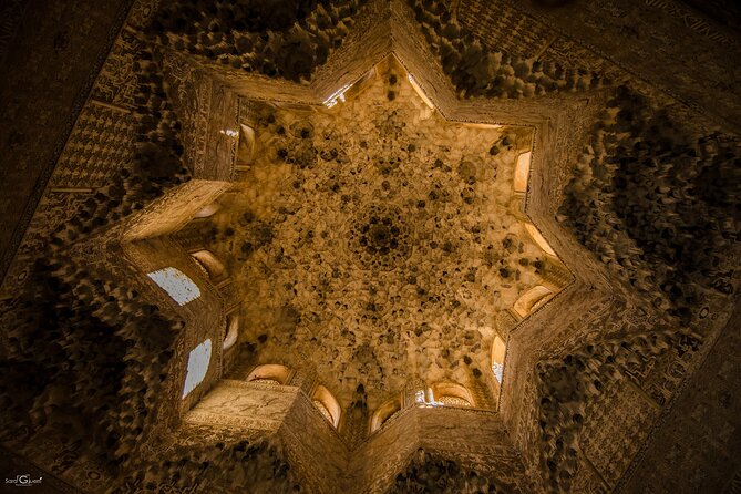 Private Tour to The Alhambra with Nasrid Palaces in Granada - The Nasrid Palaces and their controlled entry