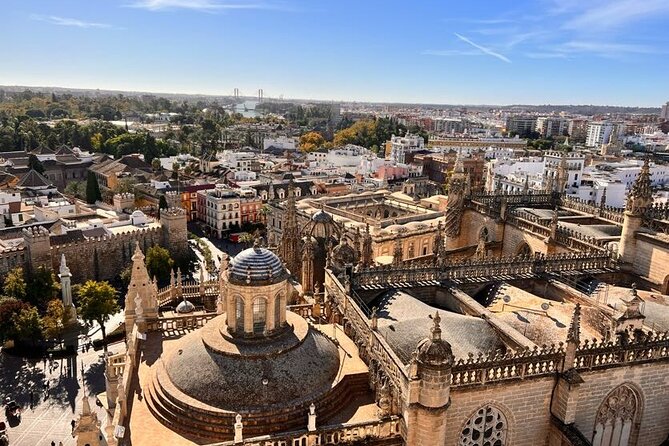 Private Walking Tour Alcazar and Cathedral in Sevilla - How this compares with exploring alone
