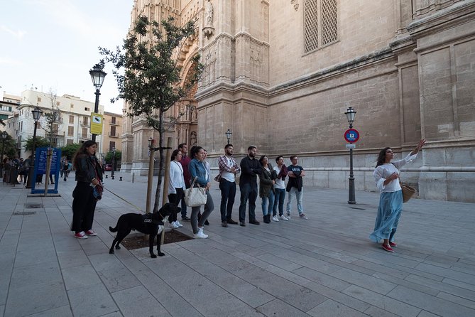 Private walking tour in Palma de Mallorca with local guides. - Courtyards, Xuetas, and Palma’s Jewish quarter