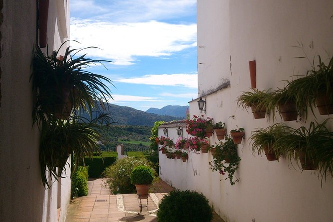 Private White Villages & Ronda Day Tour from Seville - Grazalema and the Sierra de Grazalema road