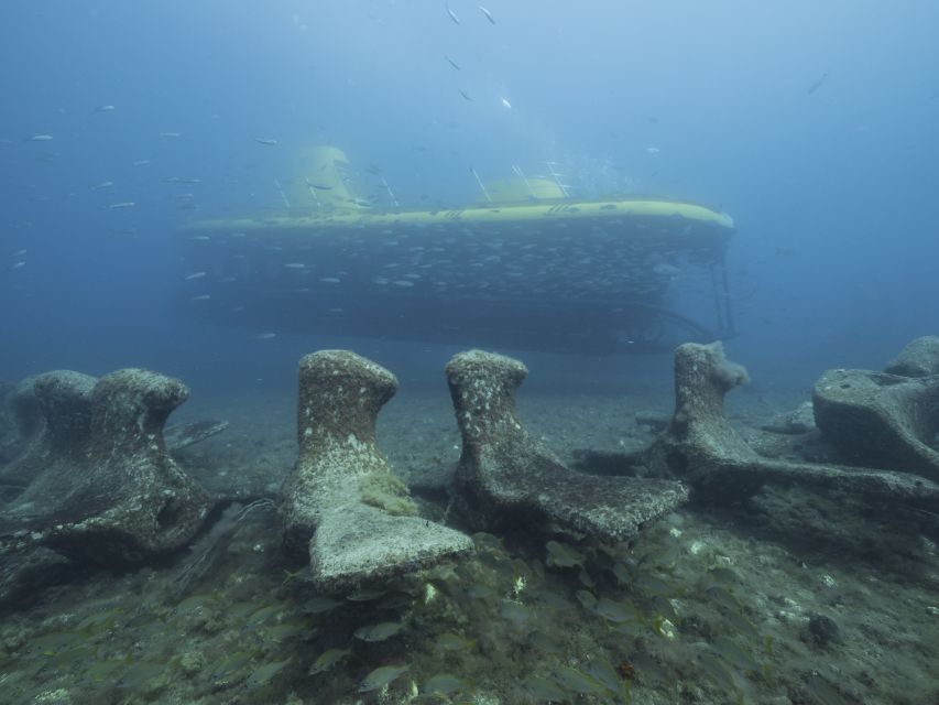 Puerto de Mogán: Submarine Tour - Who will enjoy this most