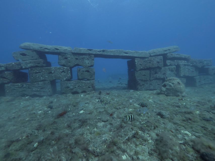 Puerto de Mogán: Submarine Tour - What the Golden Shark tour is really like
