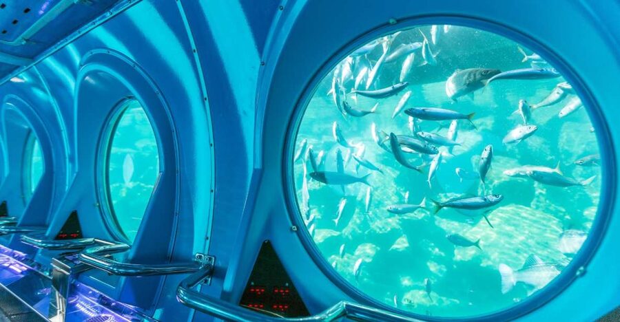 Puerto de Mogán: Submarine Tour - The audio guide and onboard screens