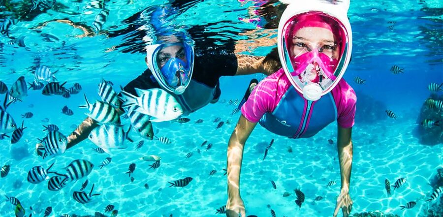 Puerto del Carmen: Dolphin-Watching Speedboat Tour with Swim - Key points at a glance