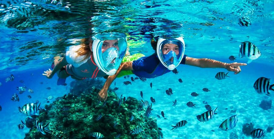 Puerto del Carmen: Dolphin-Watching Speedboat Tour with Swim - Should you book the Puerto del Carmen dolphin tour?
