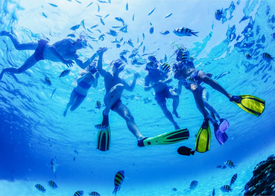 Puerto del Carmen: Dolphin-Watching Speedboat Tour with Swim - Swimming in the Atlantic from the boat