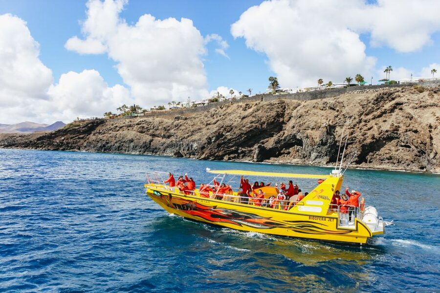 Puerto del Carmen: Dolphin-Watching Speedboat Tour with Swim - Is $41 good value for 90 minutes?