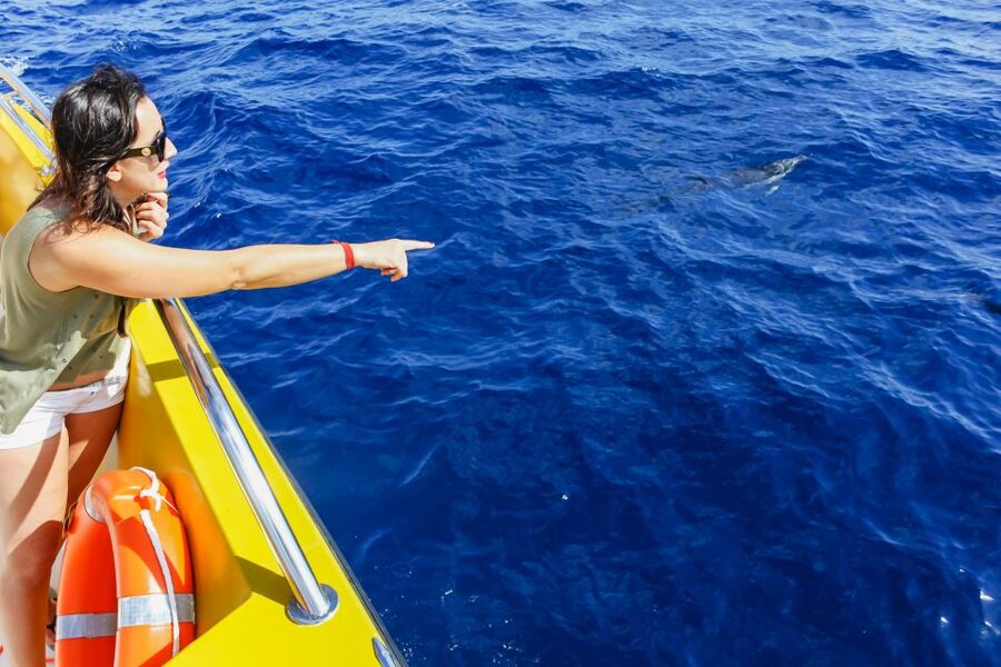 Puerto del Carmen: Dolphin-Watching Speedboat Tour with Swim - Who will enjoy this Lanzarote boat trip?
