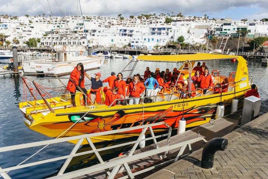 Puerto del Carmen: Dolphin-Watching Speedboat Tour with Swim - Searching for dolphins, whales, and turtles
