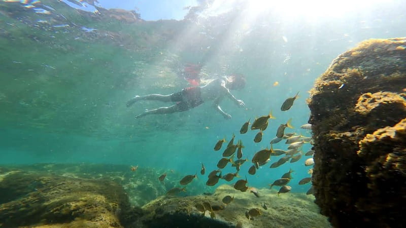Puerto Mogán: Guided Adventure Kayak Tour in Caves & Snorkel - What this tour really is