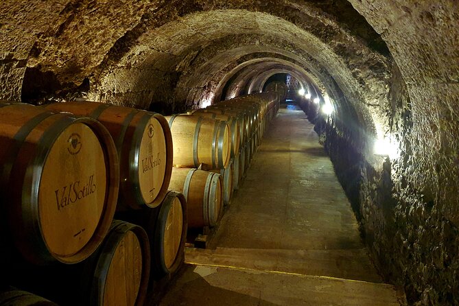 Ribera del Duero:4 Wineries, tasting & Lunch included from Madrid - Why Ribera del Duero makes a good day trip from Madrid