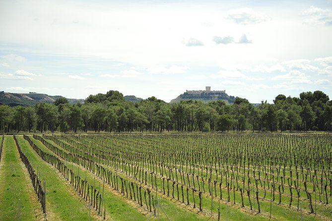 Ribera del Duero Wineries Guided Tour & Wine Tasting from Madrid - Key points to know before you book